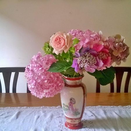 Da Claudia Bed and Breakfast Perugia Buitenkant foto
